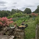 Oda ve Kahvaltı La Jardiniere 3*