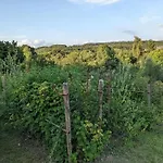 La Jardiniere Oda ve Kahvaltı