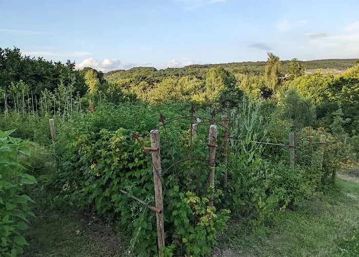 La Jardiniere Oda ve Kahvaltı